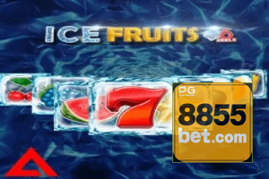 8855BET ajuda online — chat de suporte no aplicativo oficial