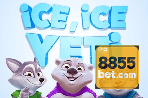 8855BET feedback — formulário de envio no aplicativo oficial