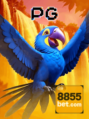 8855BET bônus — cashback 15 por cento e níveis VIP