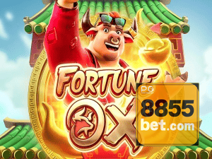 8855BET login — painel de entrada no app oficial