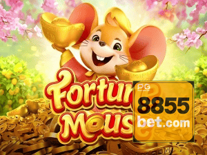 8855BET login — configurações de segurança e proteção de conta
